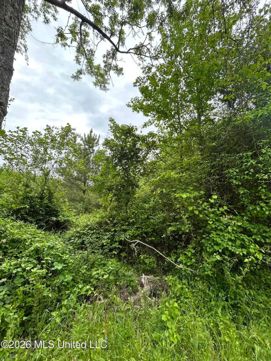 County Road 123, Philadelphia, MS 39350 - #2