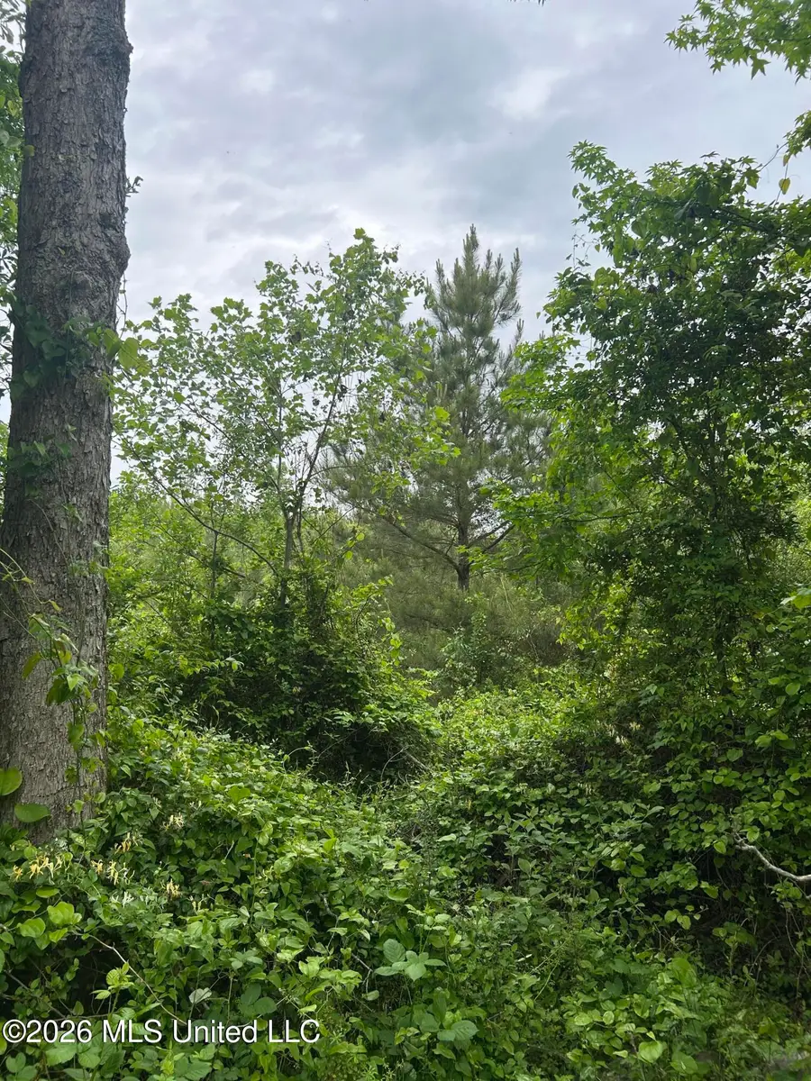 County Road 123, Philadelphia, MS 39350 - #3
