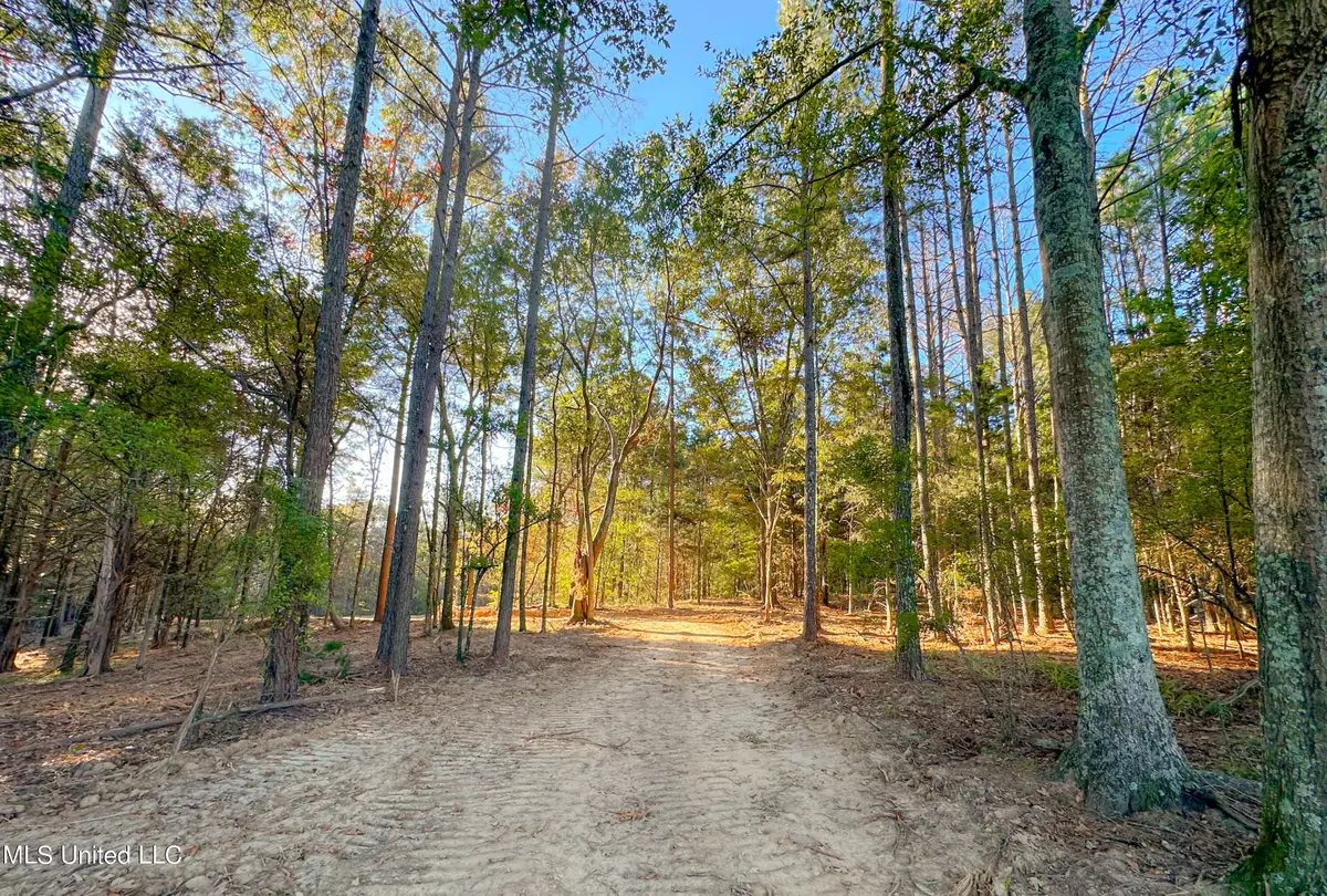 Mount Leopard Road, Flora, MS 39071 - #1
