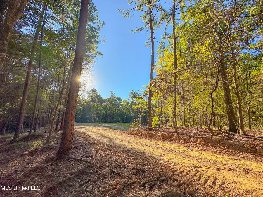 Mount Leopard Road, Flora, MS 39071 - #2