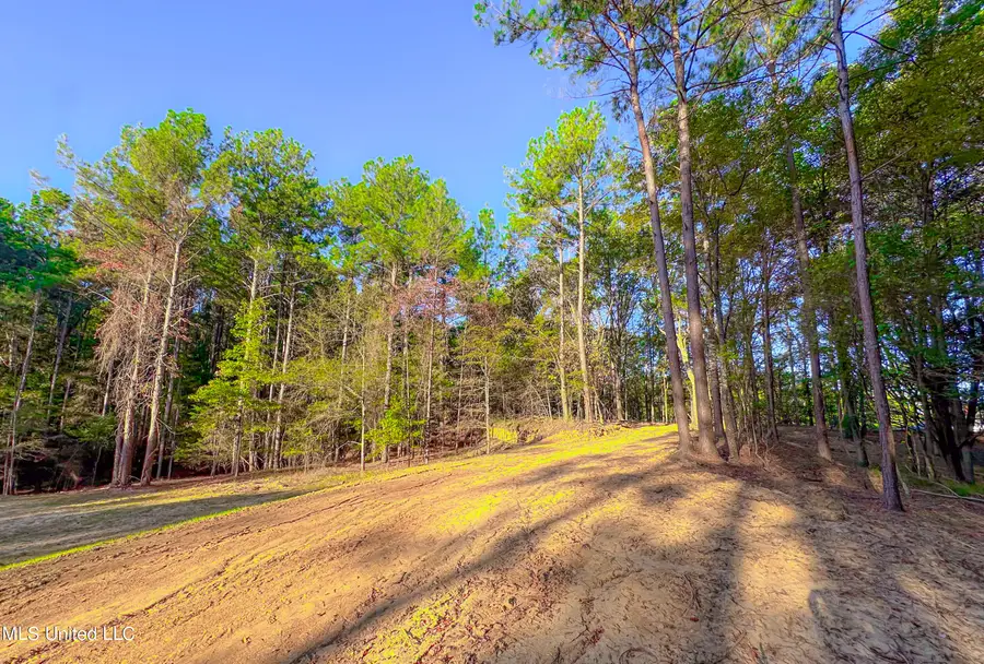 Mount Leopard Road, Flora, MS 39071 - #3