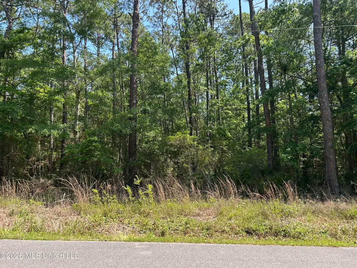 Sycamore, Ocean Springs, MS 39564 - #1