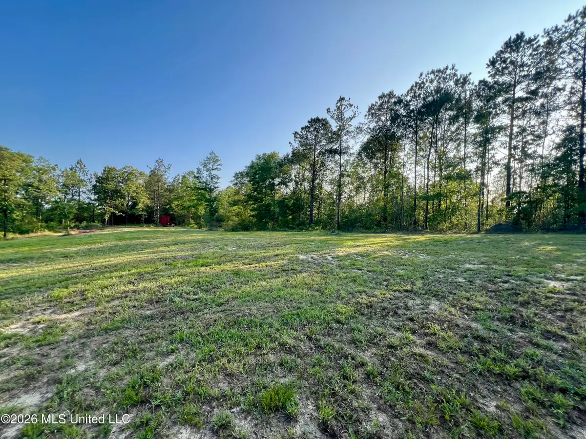118 Robert Rhodes Road, Poplarville, MS 39470 - #1