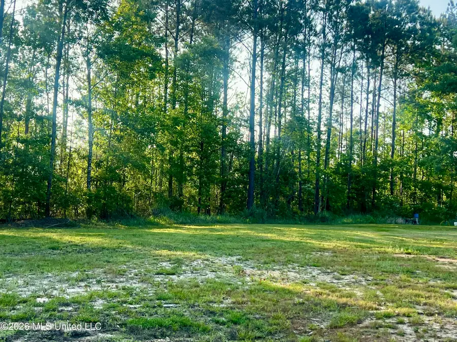 118 Robert Rhodes Road, Poplarville, MS 39470 - #2