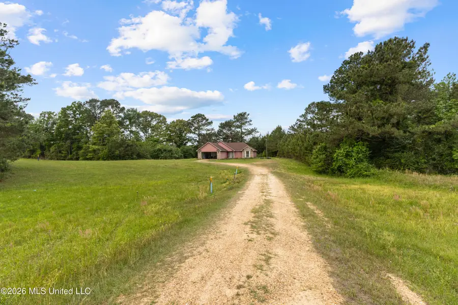 41 Adams Lane, Prentiss, MS 39474 - #3
