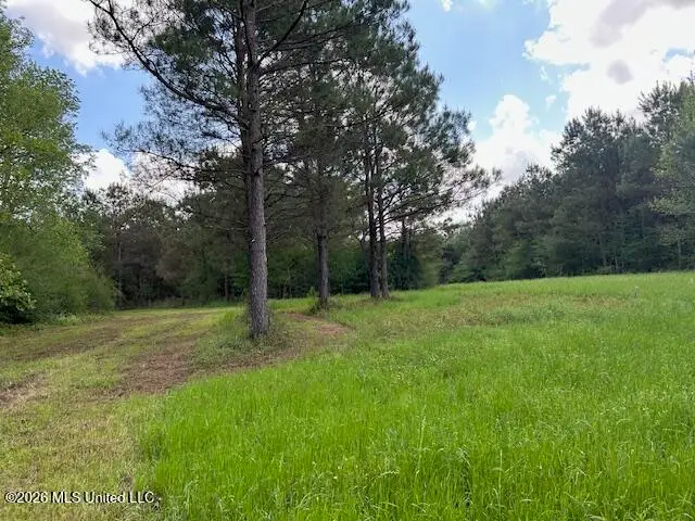 Vaniel Holmes Road, Tylertown, MS 39667 - #1