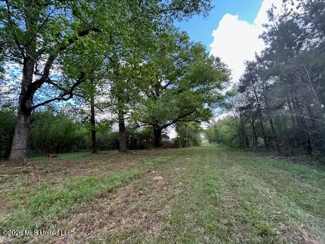 Vaniel Holmes Road, Tylertown, MS 39667 - #2