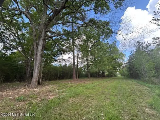 Vaniel Holmes Road, Tylertown, MS 39667 - #3