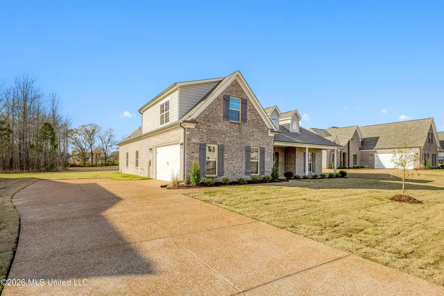 7671 John Elliott Lane, Hernando, MS 38632 - #3