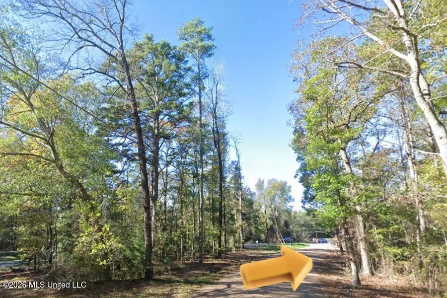 8 Holiday Road, Brandon, MS 39042 - #2