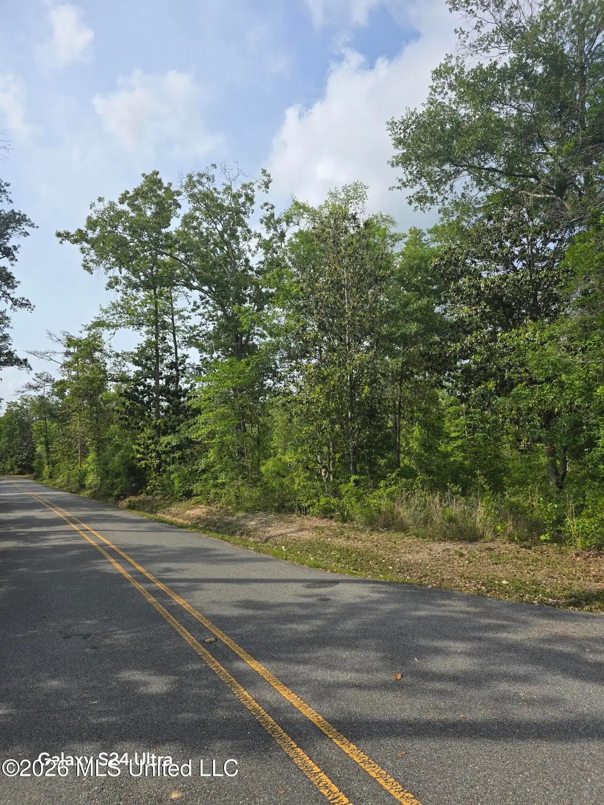 Summerlin Bayou Road, Vancleave, MS 39565 - #1