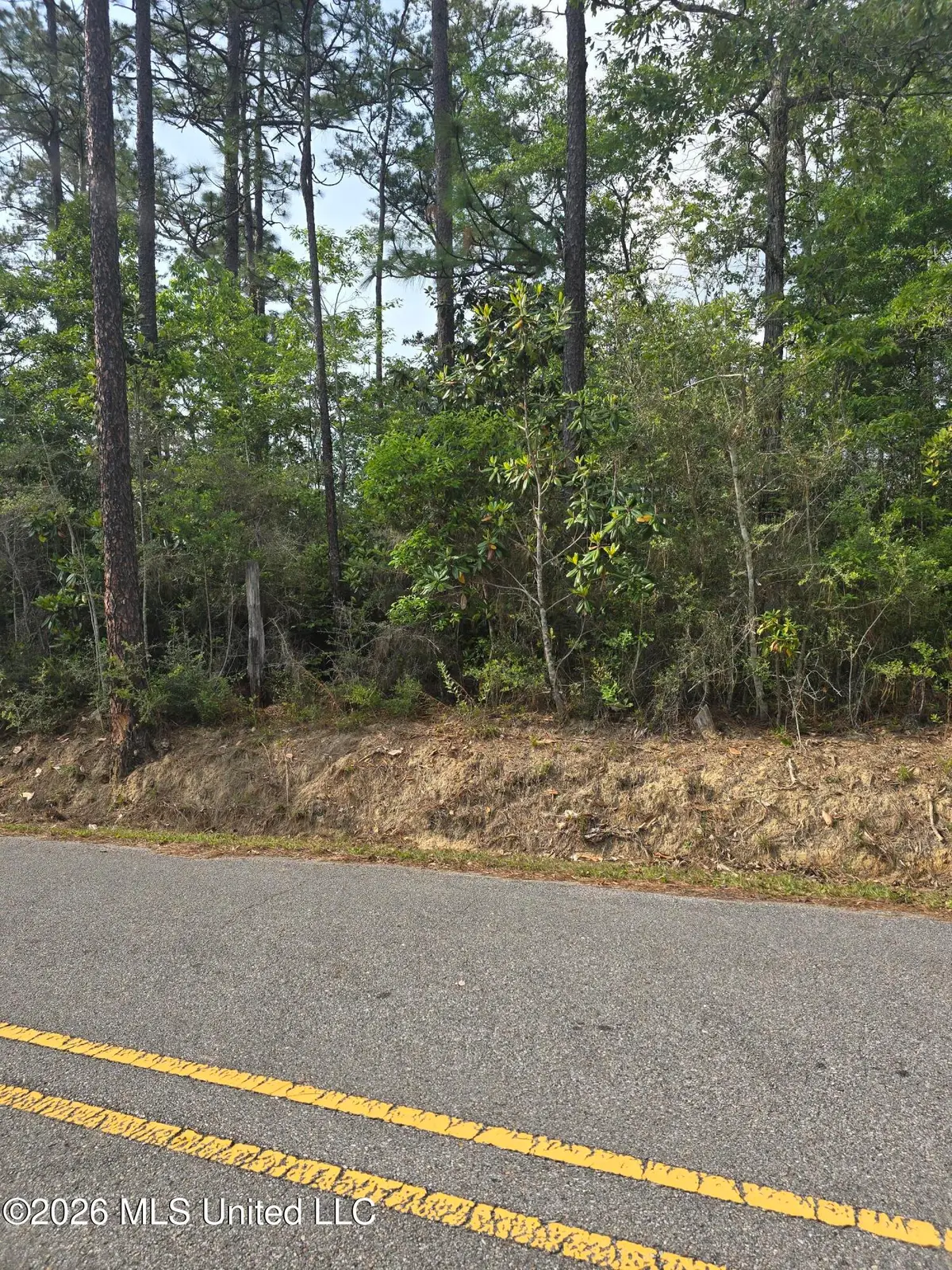 Summerlin Bayou Road, Vancleave, MS 39565 - #1