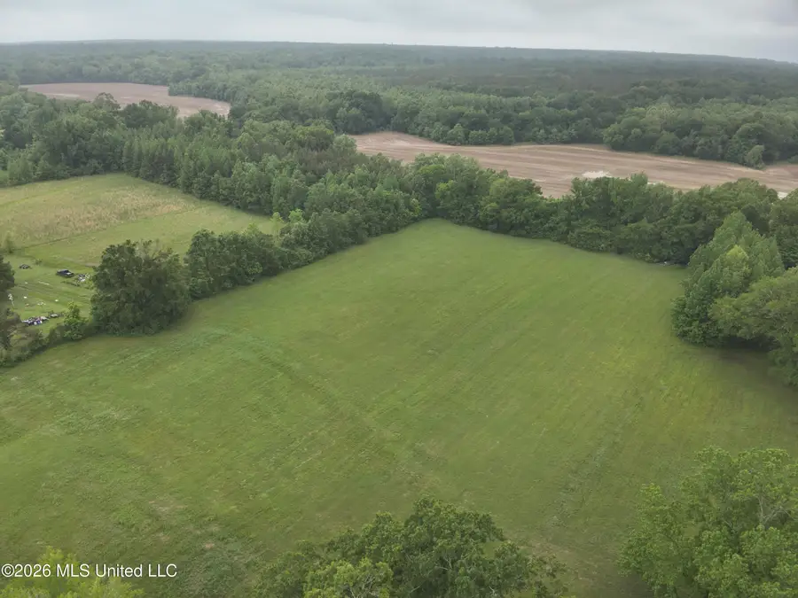 5426 Myrleville Road, Yazoo City, MS 39194 - #3