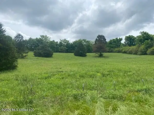 Peyton Road, Coldwater, MS 38618