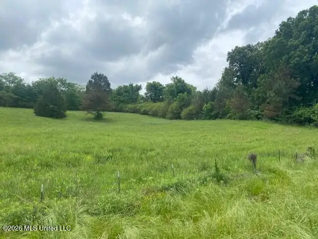 Peyton Road, Coldwater, MS 38618 - #3