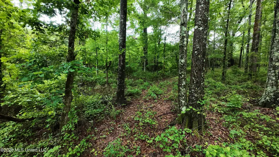 6936 Hillsboro-ludlow Road, Forest, MS 39074 - #2