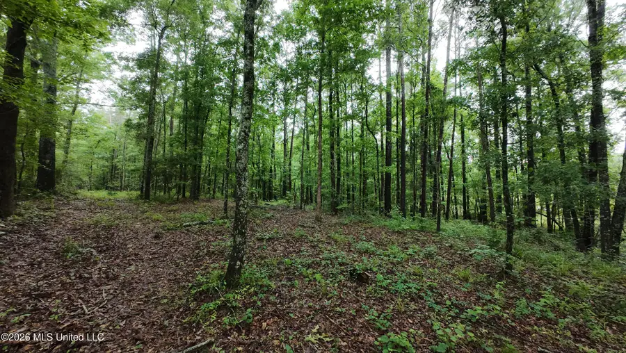 6936 Hillsboro-ludlow Road, Forest, MS 39074 - #3