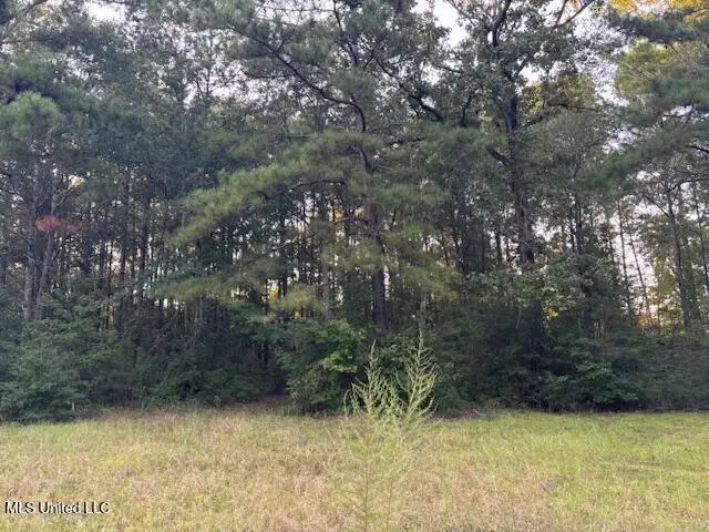 Lot #3 Park Place, McComb, MS 39648 - #1