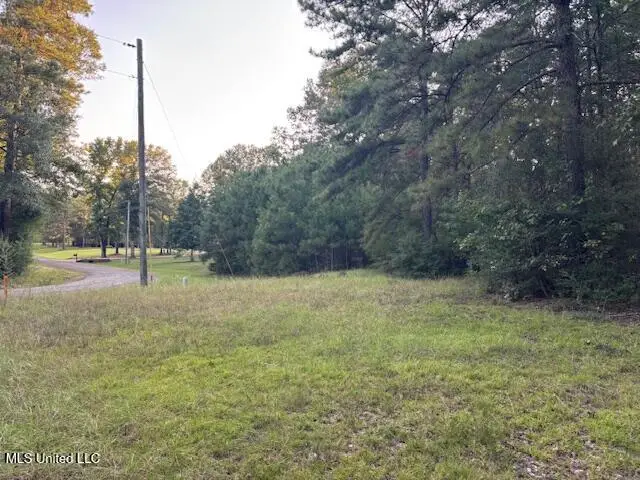 Lot #3 Park Place, McComb, MS 39648 - #3