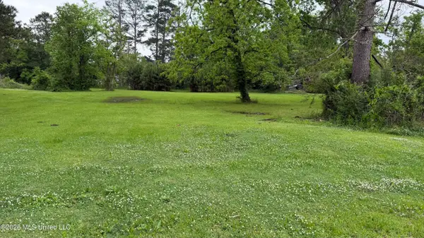 0 N Davis Street, Forest, MS 39074