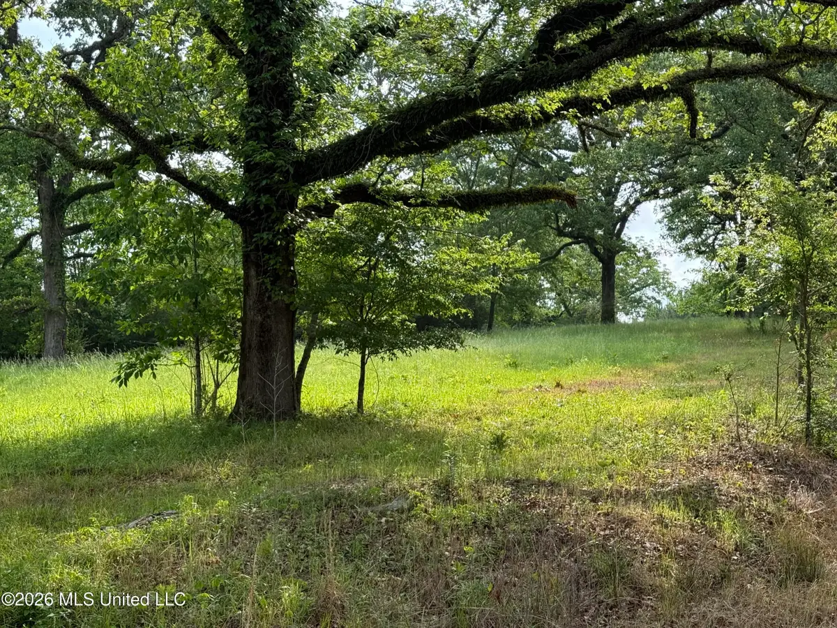 Scales Road, Morton, MS 39117 - #1