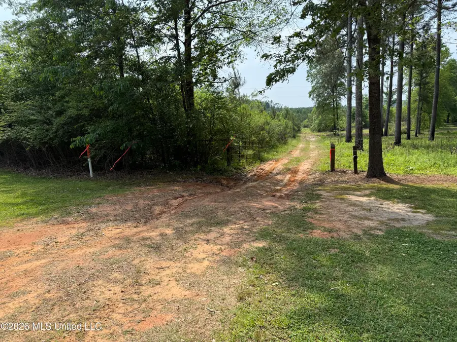 Scales Road, Morton, MS 39117 - #3