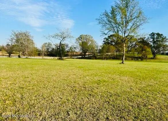 Sagamore, Madison, MS 39110 - #2