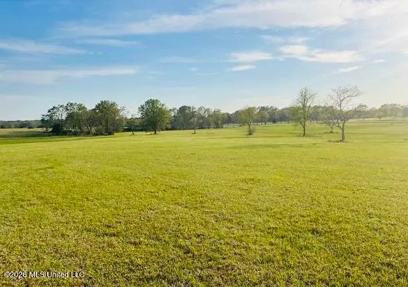 Sagamore, Madison, MS 39110 - #3