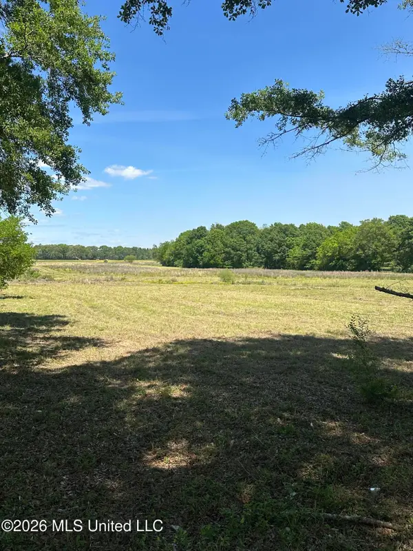Holly Bush Road, Brandon, MS 39047