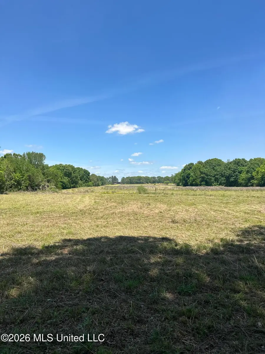 Holly Bush Road, Brandon, MS 39047 - #2
