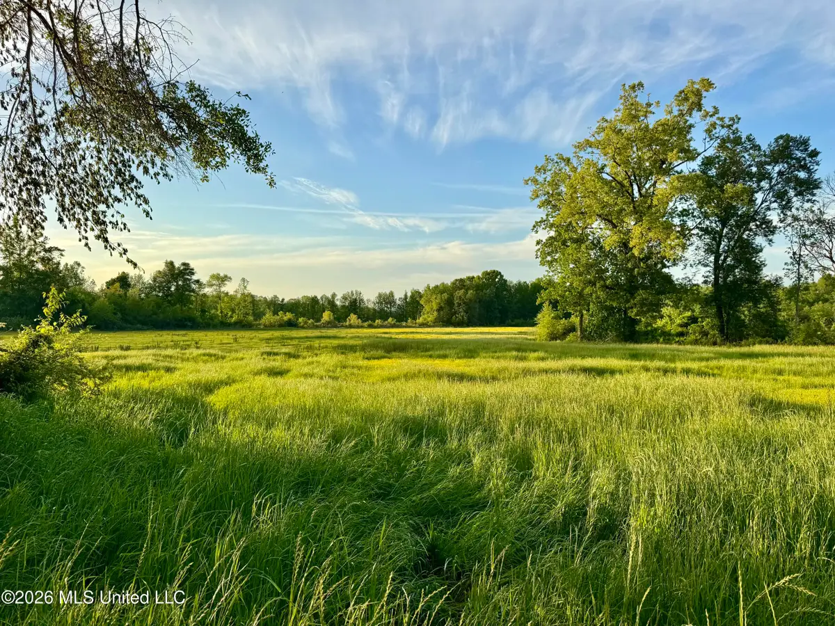 0002 County Rd 204, Tiplersville, MS 38674 - #1