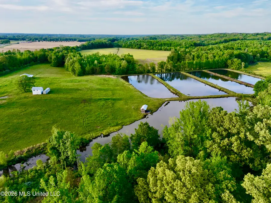 0002 County Rd 204, Tiplersville, MS 38674 - #2