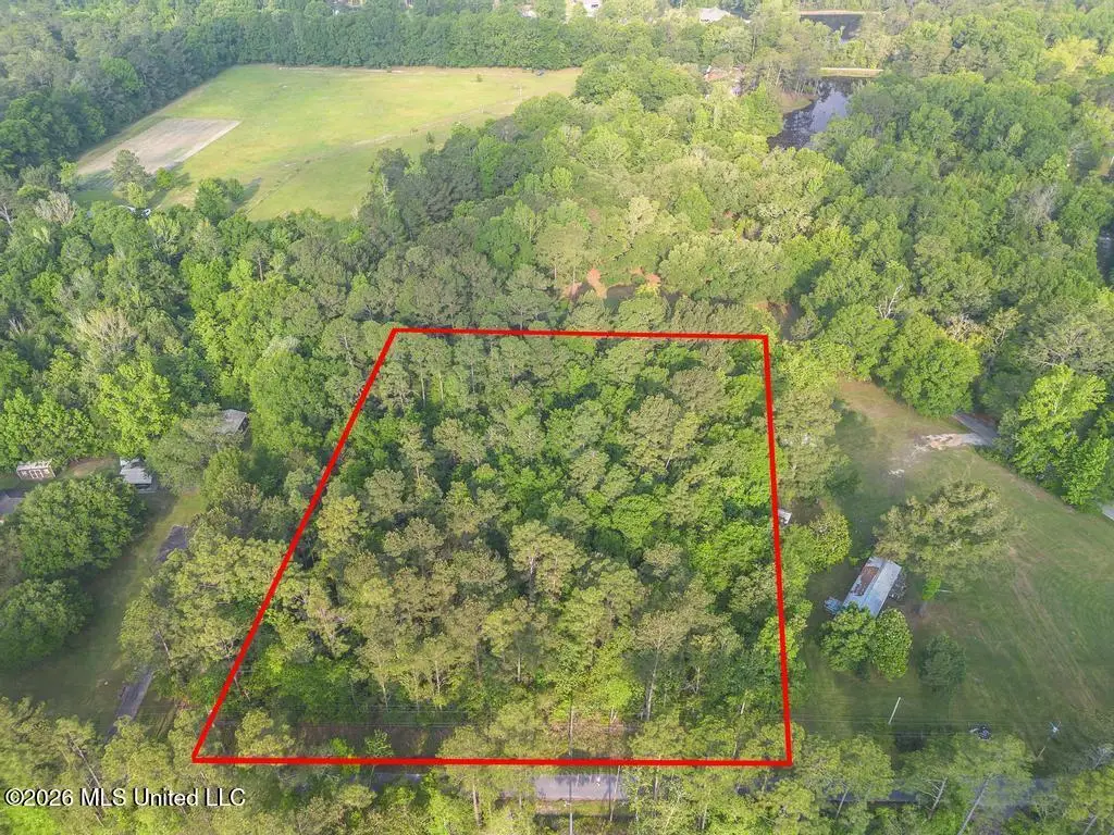 Boggy Road, Vancleave, MS 39565 - #1