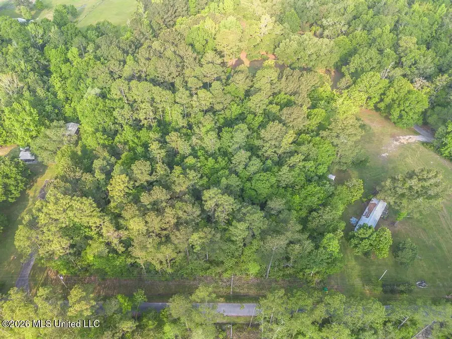 Boggy Road, Vancleave, MS 39565 - #3