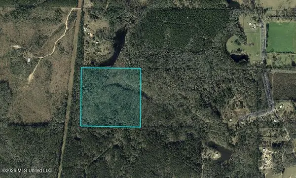 Owl Hoot Road, Perkinston, MS 39573