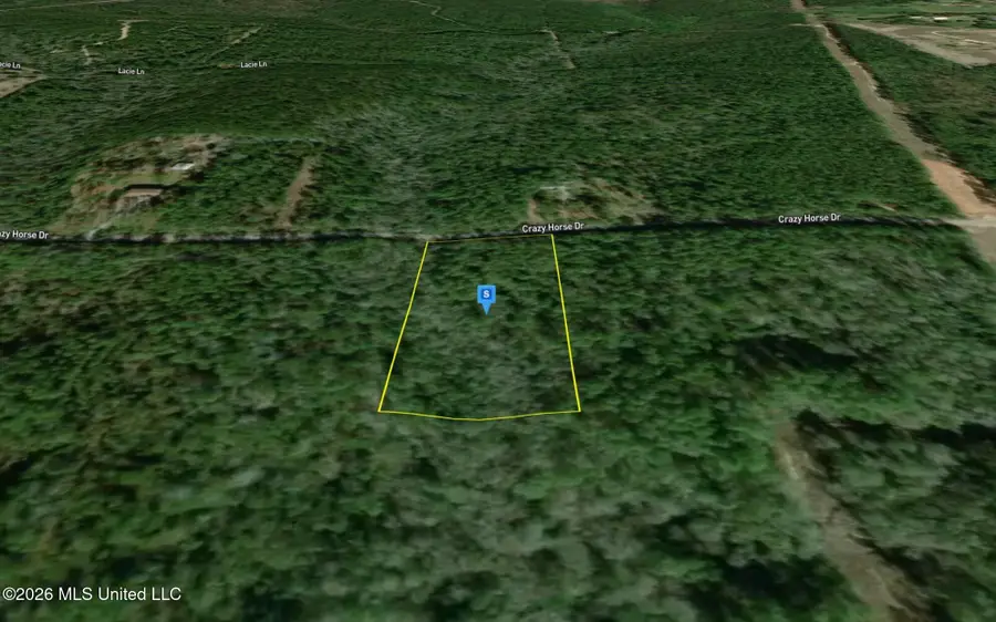 7035 Crazy Horse Drive, Kiln, MS 39556 - #3