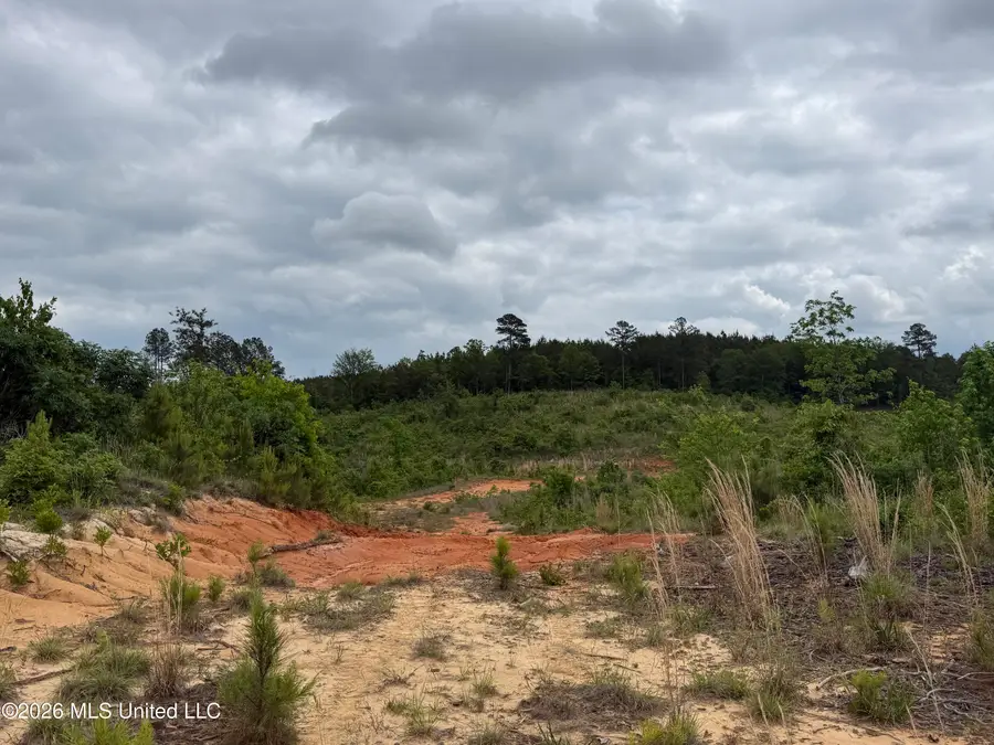 County Road 5223, Ethel, MS 39067 - #2