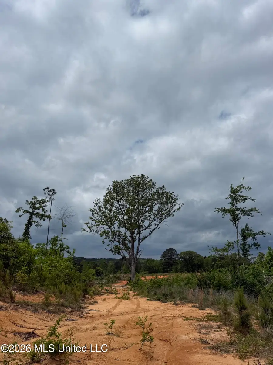 County Road 5223, Ethel, MS 39067 - #3