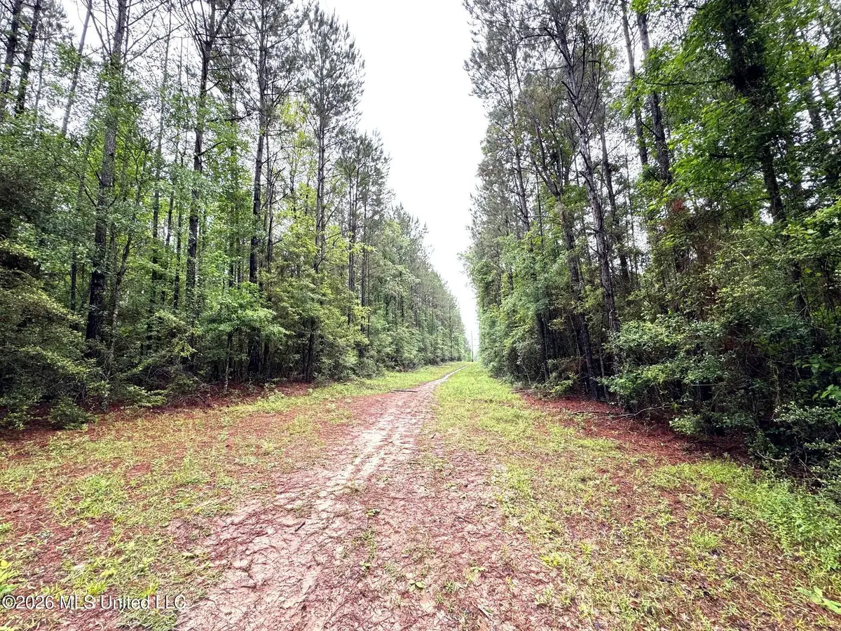 000 Emerald State Line Road, Magnolia, MS 39652 - #1
