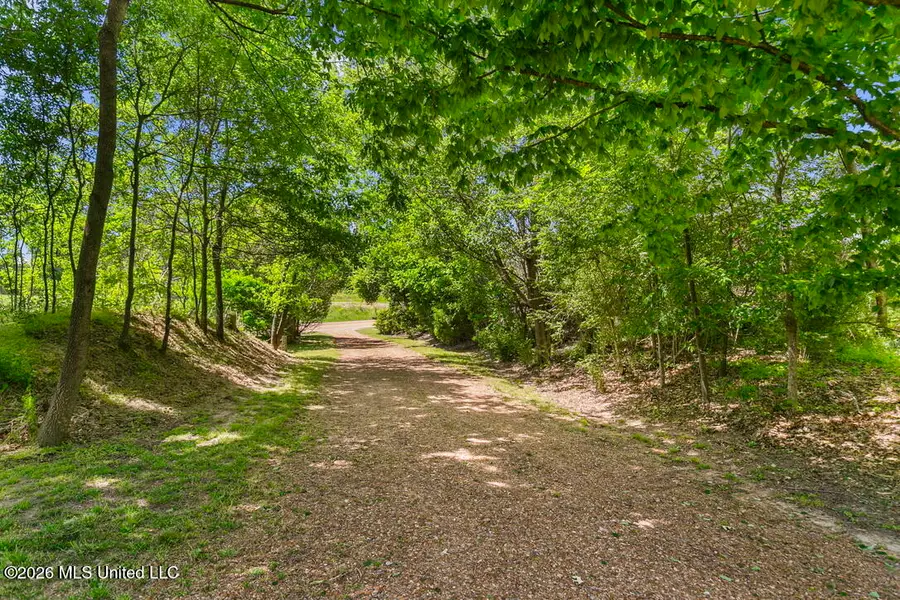1815 Old Benton Road, Yazoo City, MS 39194 - #3