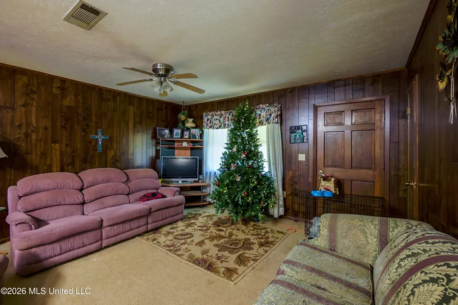 229 Ponderosa Drive, Stonewall, MS 39363 - #3