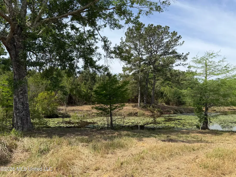 0 N Neely Avera Road, Neely, MS 39461 - #3