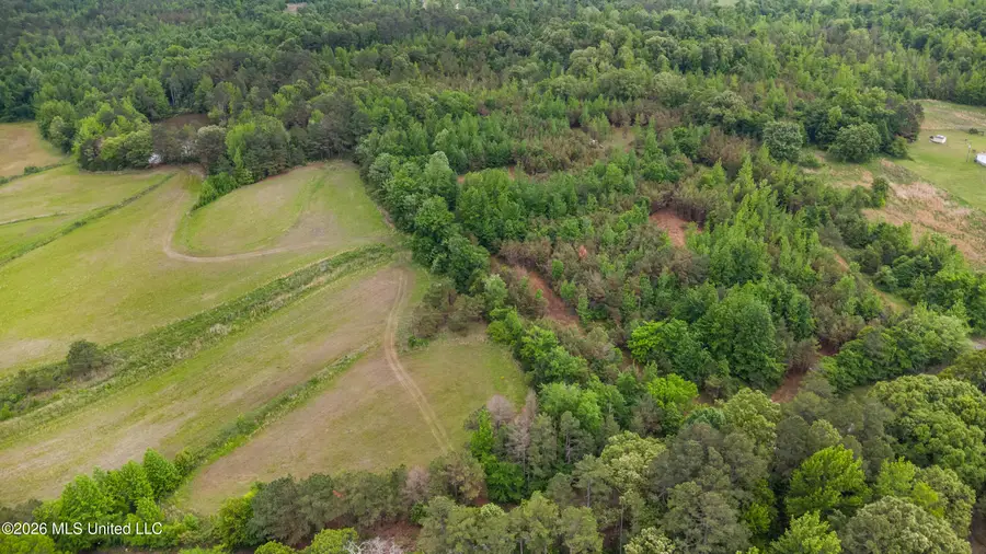 Isom Chapel Road, Holly Springs, MS 38635 - #3