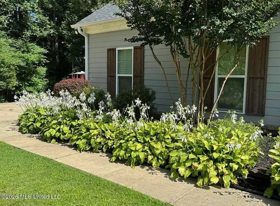 203 Polo Run Cove, Byhalia, MS 38611 - #3