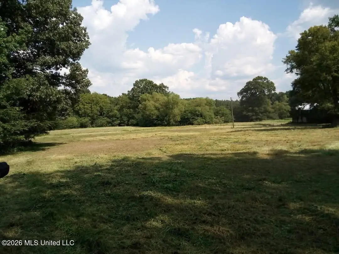 1265 Vfw Road, Lake, MS 39092 - #1