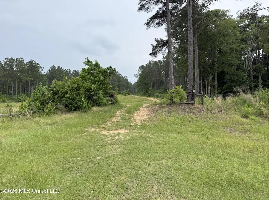 000 Furrs Mill Dr Ne Drive, Wesson, MS 39191 - #2