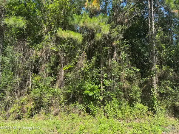 00 Schrader Court, Saucier, MS 39574