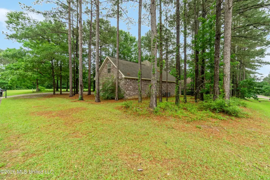 59 Lamplighter Lane, Purvis, MS 39475 - #3