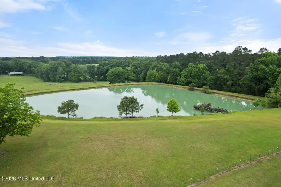 1329 Grantham Road, Sumrall, MS 39482 - #3