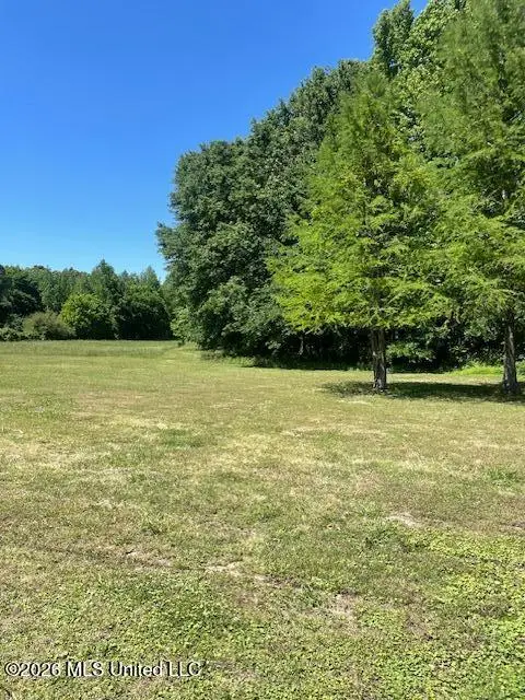 10550 W Commerce Street, Hernando, MS 38632 - #3